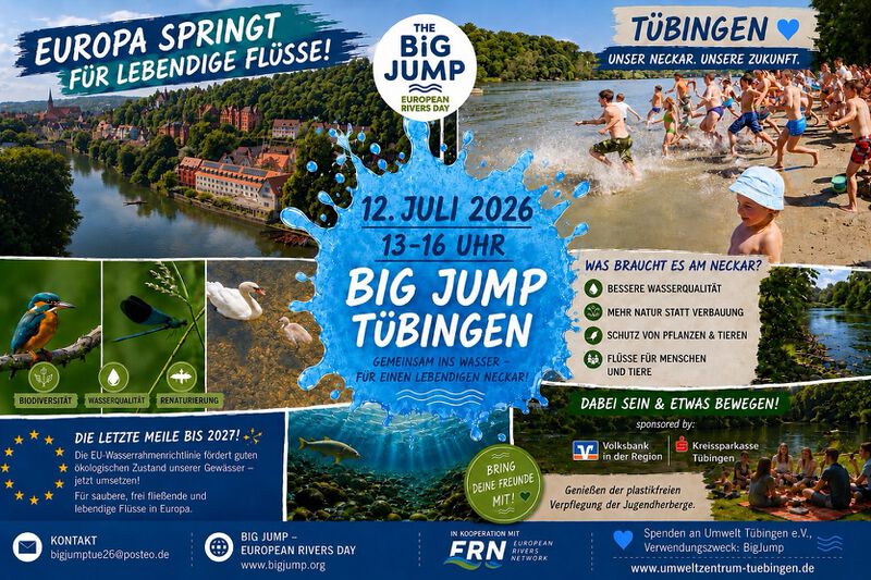Datei:BigJumpPlakat.jpg